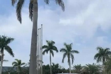 一身高档配备油耗5.6L售5.99万元起试驾全新秦燃油版
